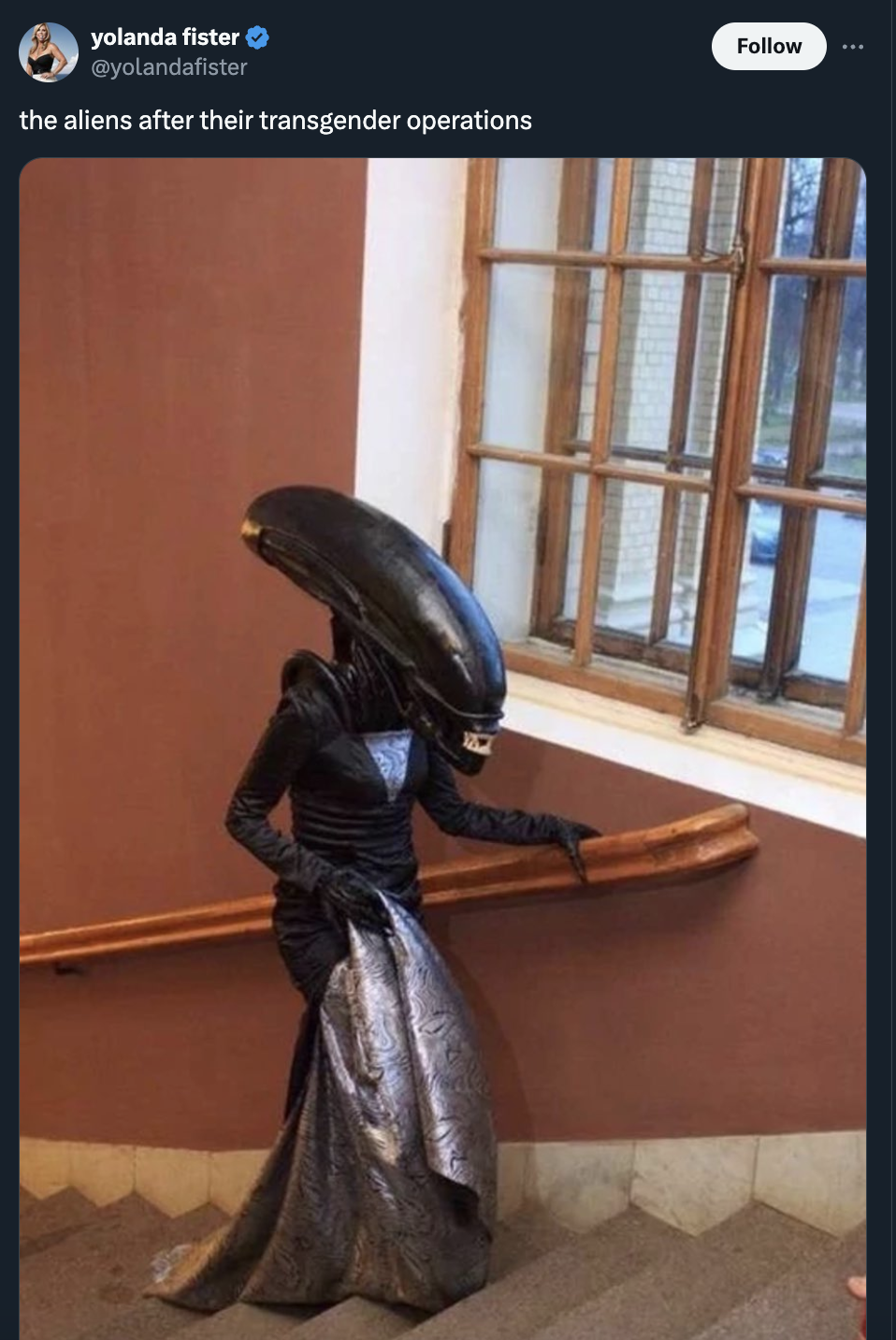 xenomorph in dress - yolanda fister the aliens after their transgender operations